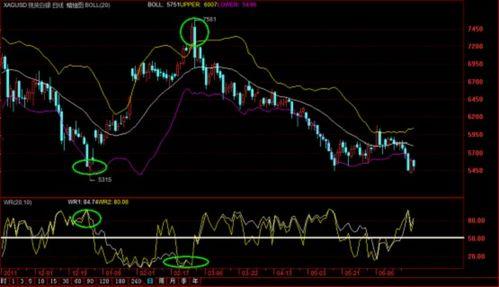威廉指标视频,视频深度解析与应用技巧