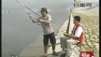水库矶钓视频,静享垂钓时光，捕捉自然之美