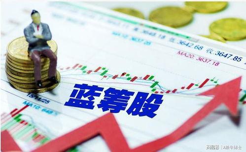 蓝筹视频,揭秘行业巨头背后的创新与变革