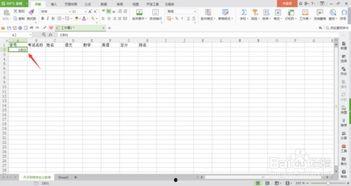 如何制表格基础教程视频,轻松掌握表格制作基础技巧
